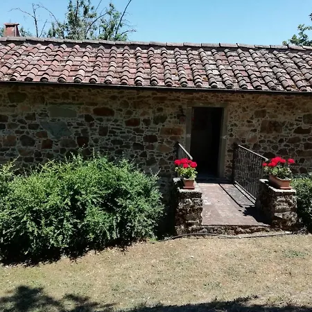 Vignoli