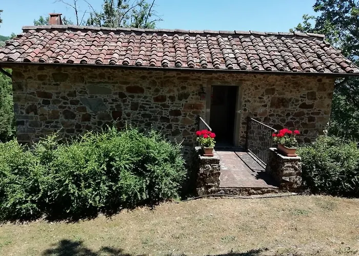 Vignoli